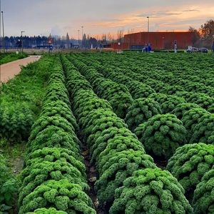 Meet your Posher, Samuel